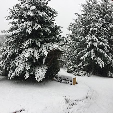 Terrazas Del Lopez San Carlos de Bariloche Exterior foto